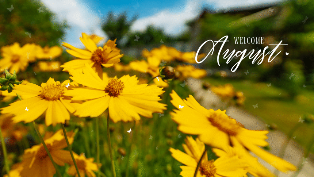 August Monthly Newsletter Lawrence County Illinois